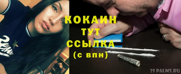 бошки Бородино