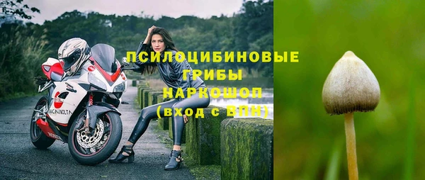 прущая мука Бугульма