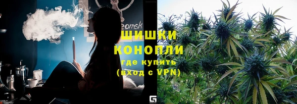 бошки Бородино